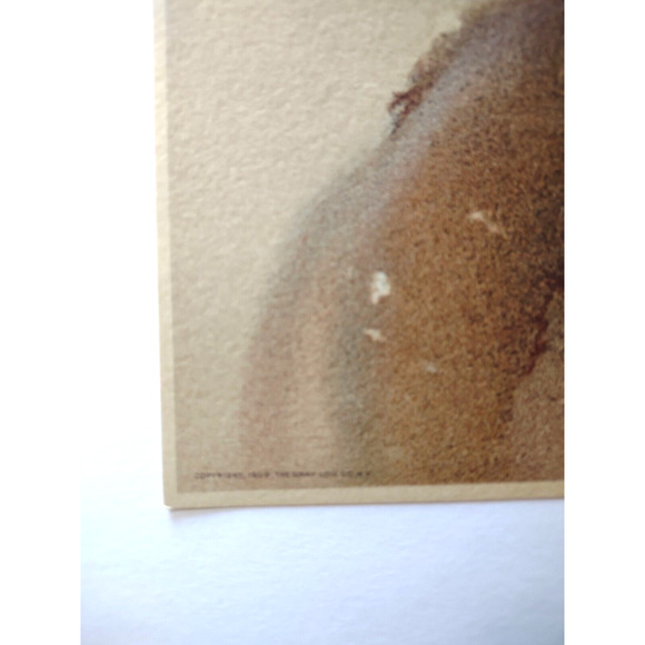 Victorian Art Print Women In Veil Hat Fur Hat Lithograph 1909 Original L Knoefel - Picture 3 of 5